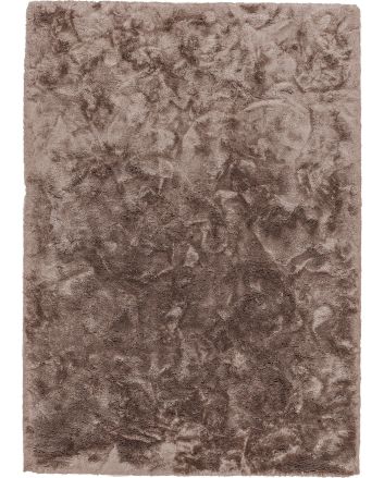 Harmony D.160 C.060 braun